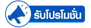 โปรโมชั่น 2